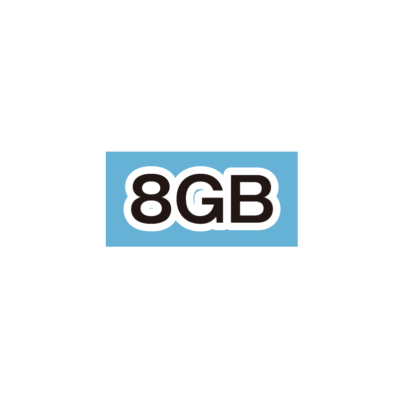 8GB